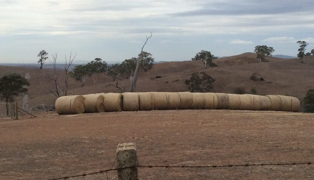 Yorketown Fire, 20 November 2019