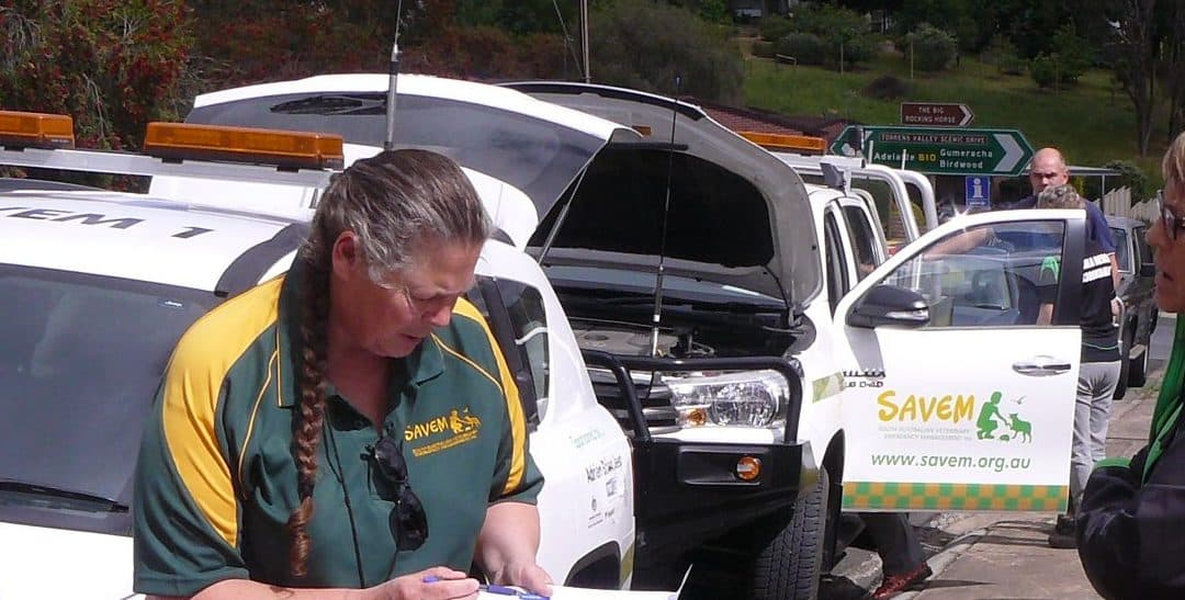 Exercise Respond 2019