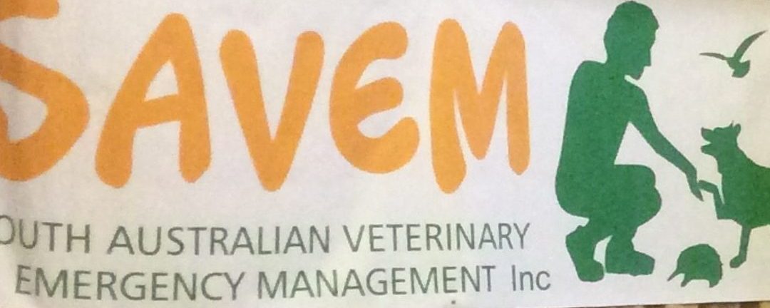 Kangaroo Island fires Day 19