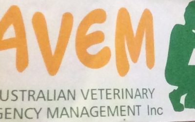 Kangaroo Island fires Day 19