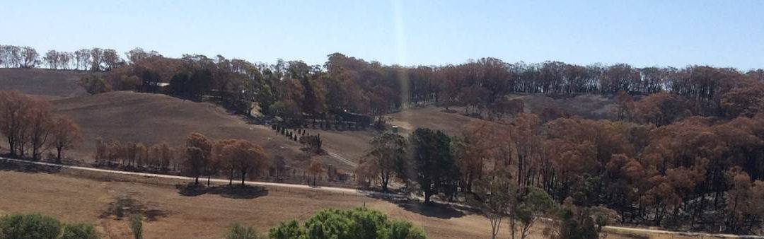 SAVEM 2019-2020 Activation Day 52