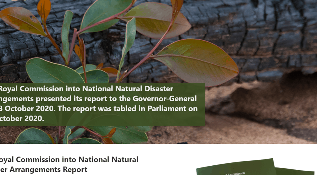 SAVEM and the Bushfire Royal Commission