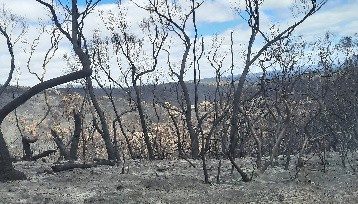 Cherry Gardens fire 3 February 2021 Day 10