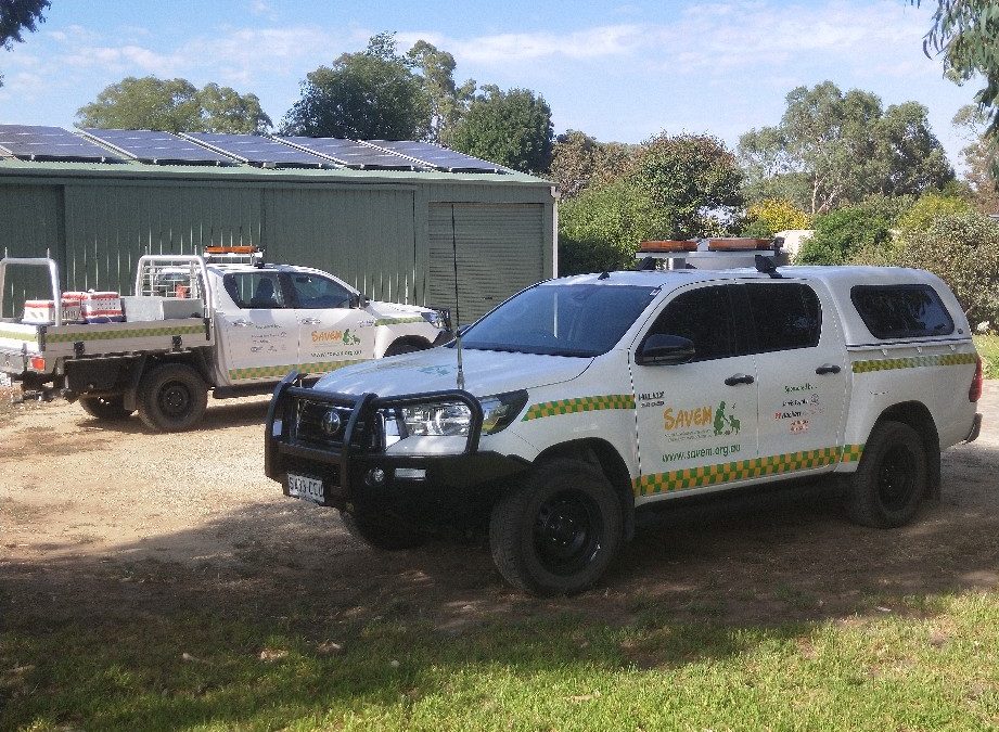 Coles fire Activation February 2022