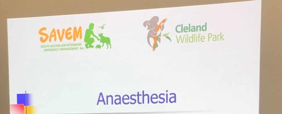 Wildlife Emergency Response Skills training with Dr Ian Hough