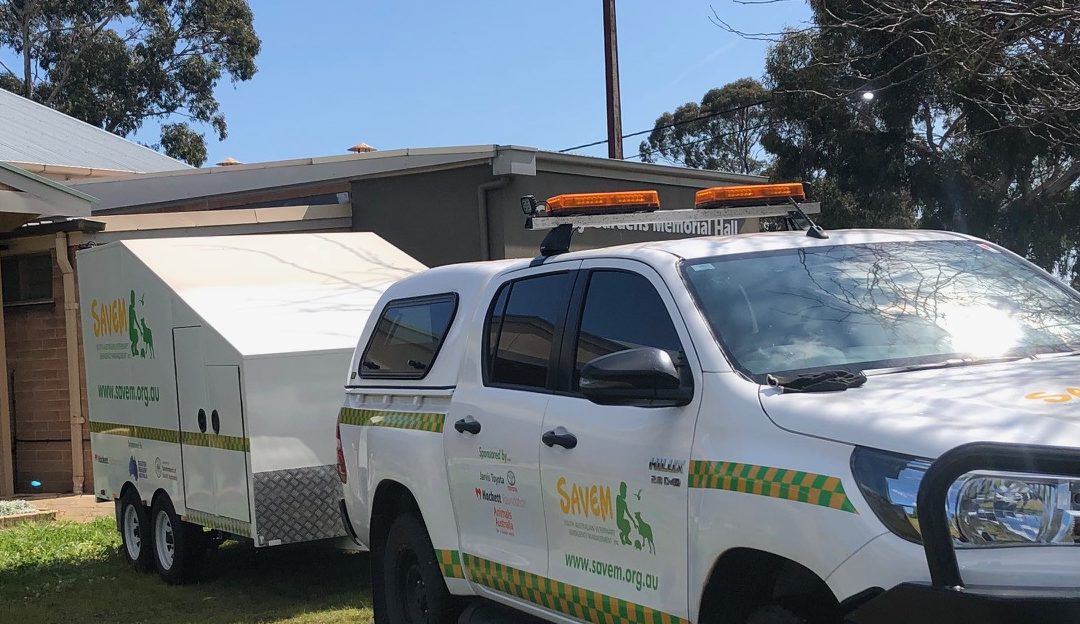 Training 2023 completed