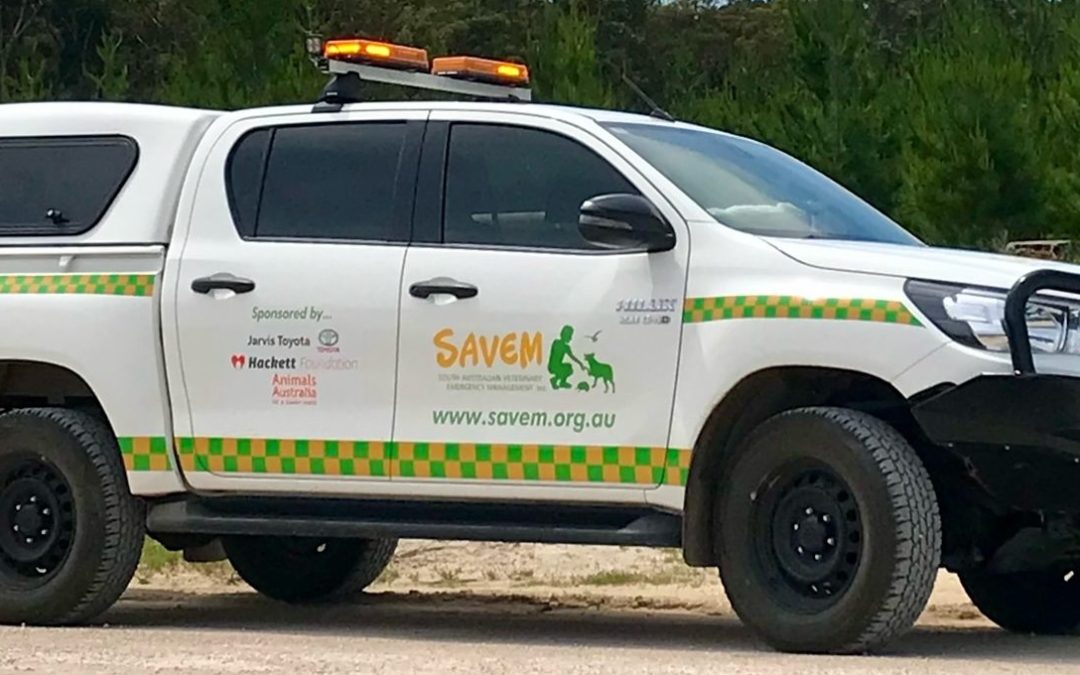 SAVEM and the Tooperang Fire