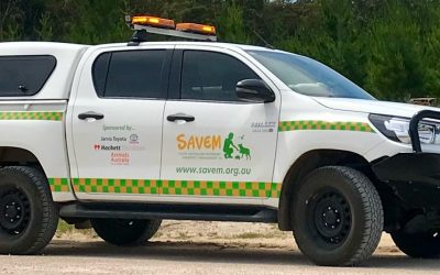 SAVEM and the Tooperang Fire