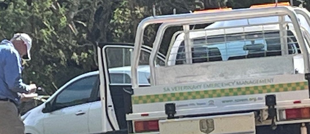 Training Program 2024 Completed