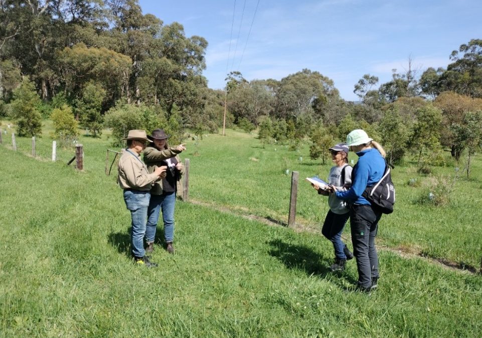 Exercise Respond 2024