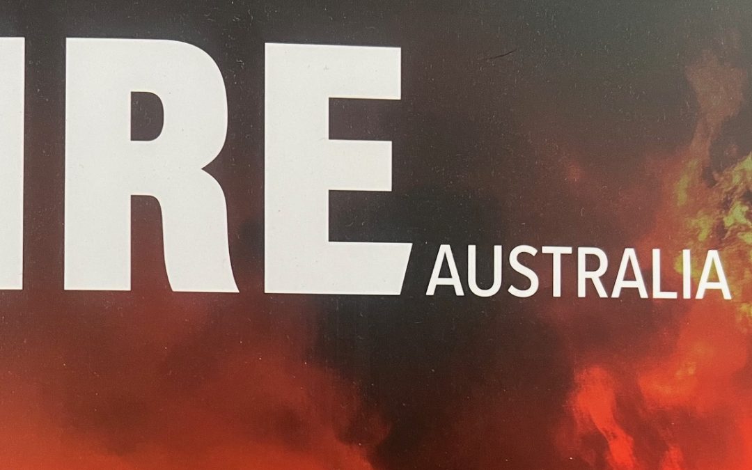 Warrior or Guardian?