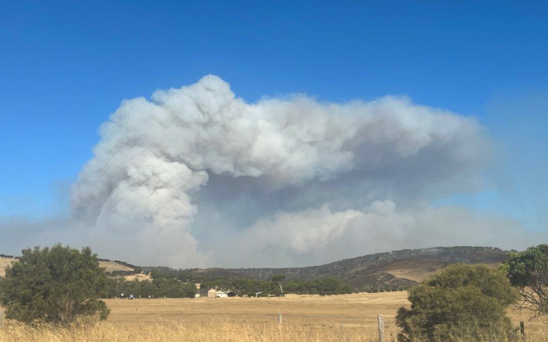 SAVEM Activation for Deep Creek fire