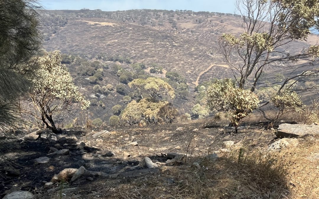 Deep Creek fire, Day 9