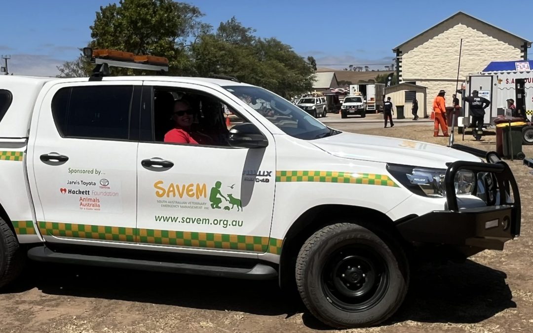 Deep Creek fire, Day 1