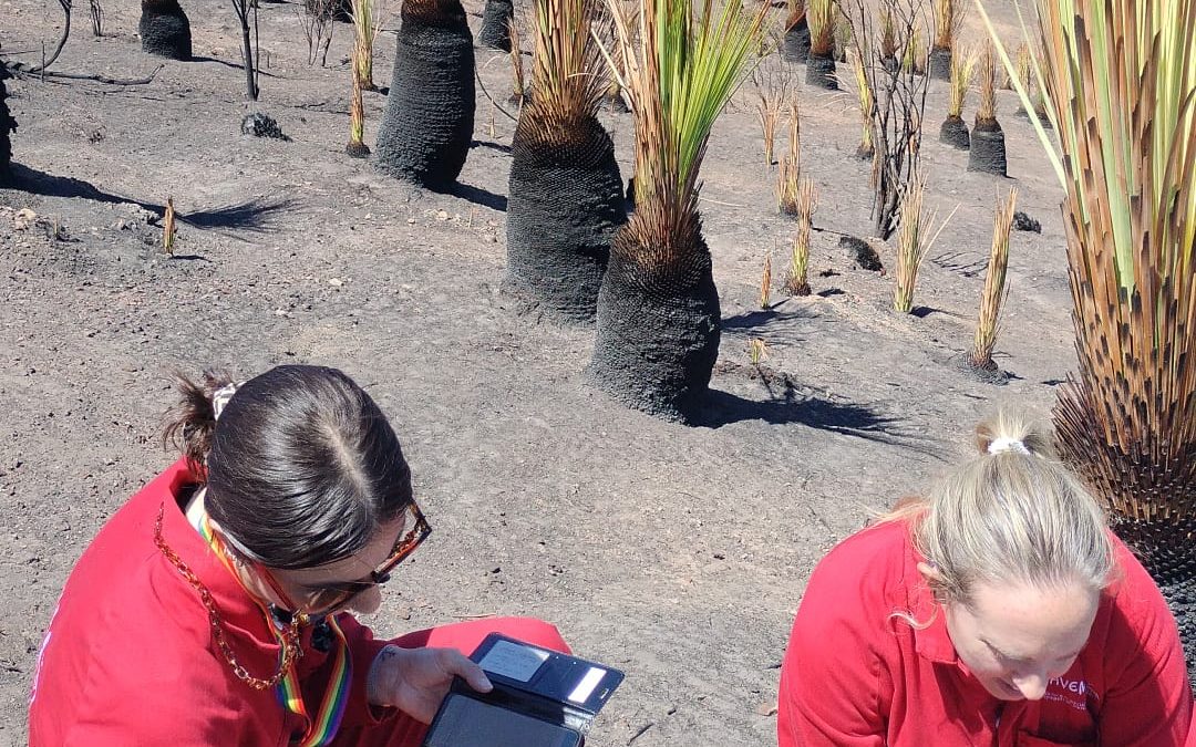 Deep Creek fire, Day 18