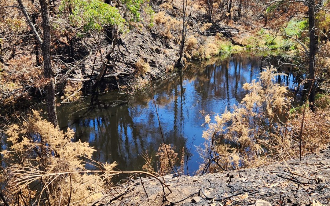 Deep Creek fire, Day 23