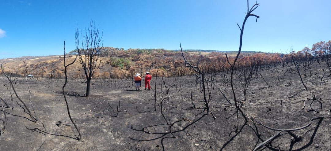 Deep Creek fire, Day 20