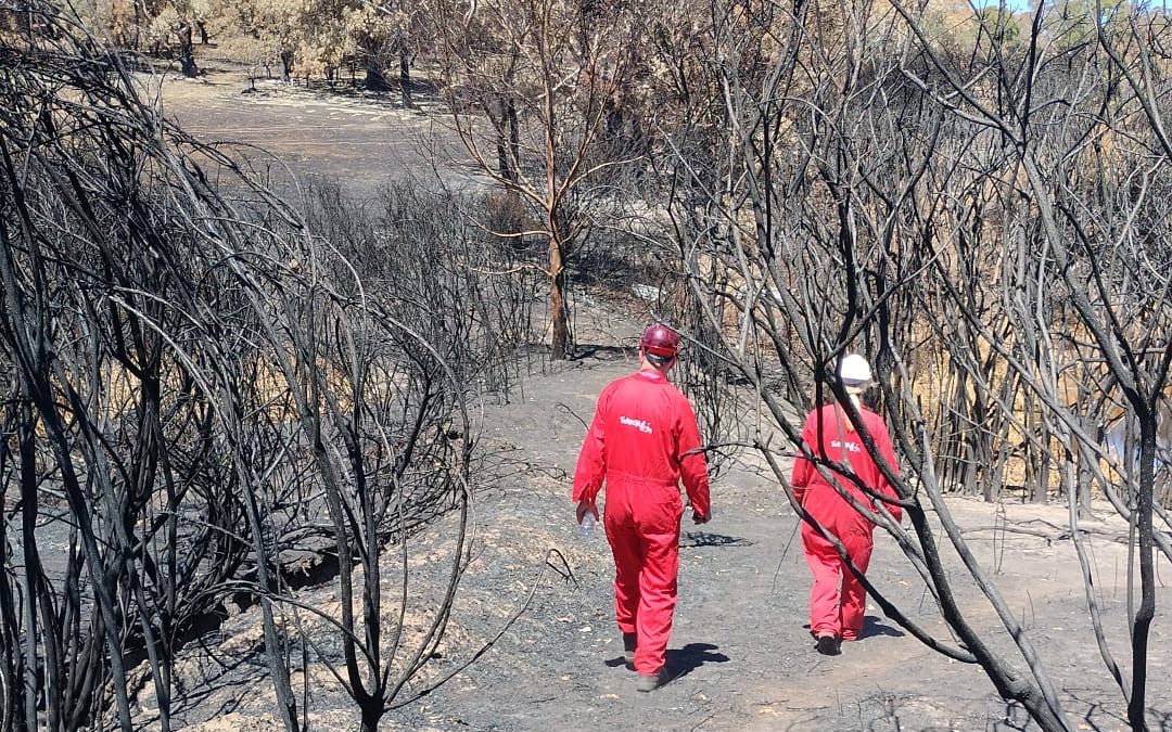 Deep Creek fire, Day 10