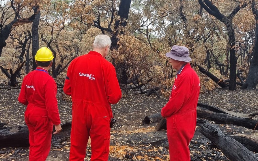 Deep Creek fire, Day 13