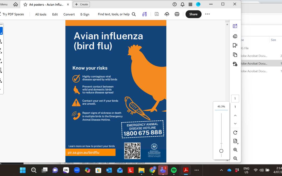 Bird Flu in Australia